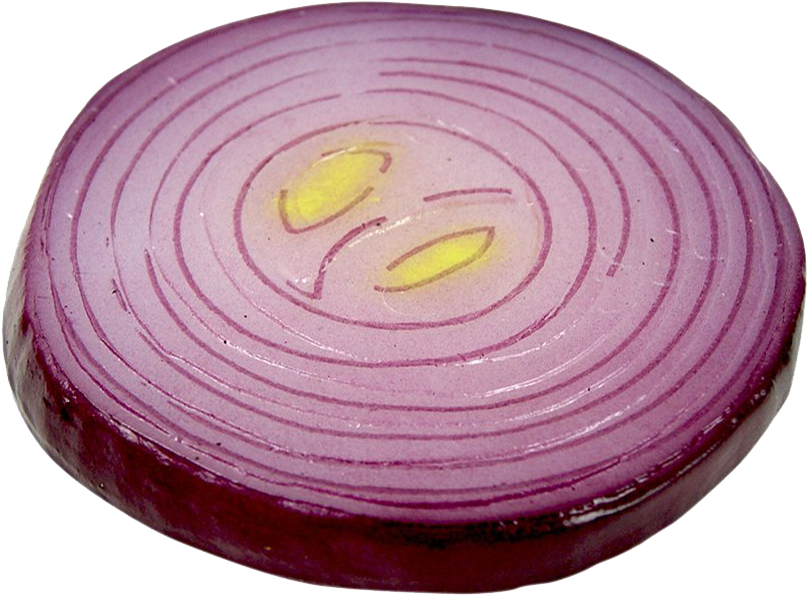 Sliced Red Onion Cross Section PNG Image