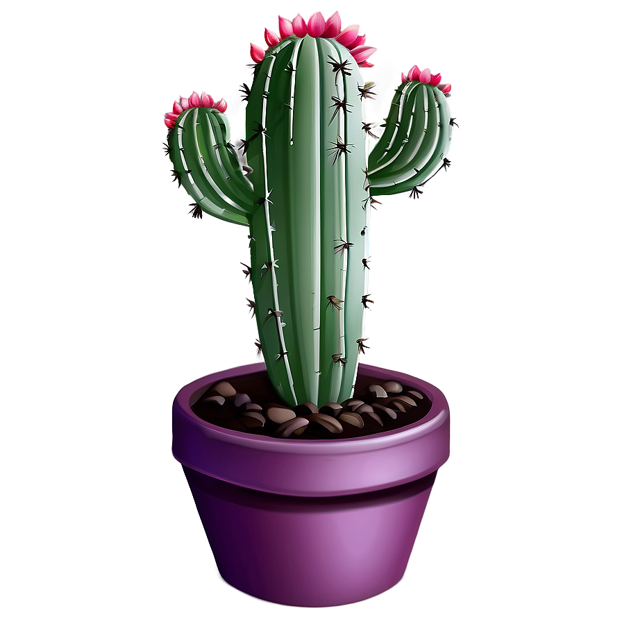 Small Cactus Plant Png 64 PNG Image