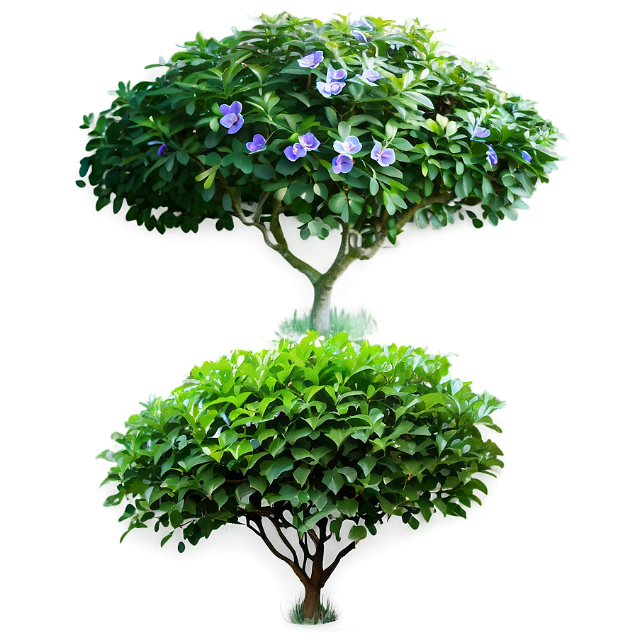 Small Garden Bush Png 05252024 PNG Image