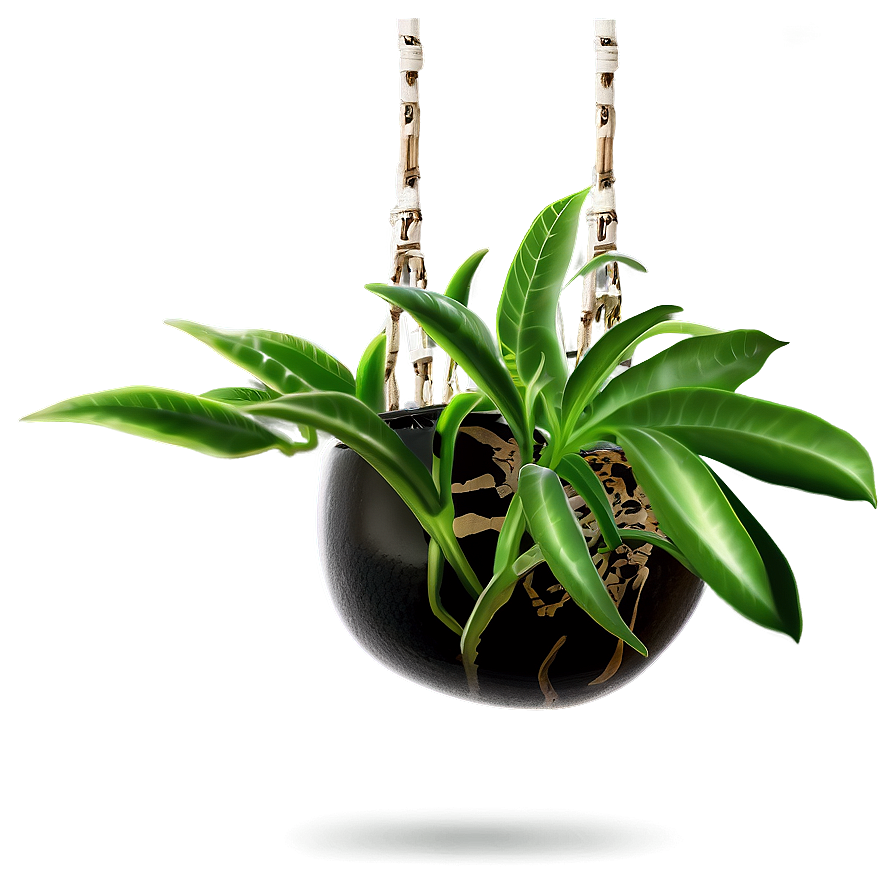 Small Hanging Plant Png Wuq42 PNG Image