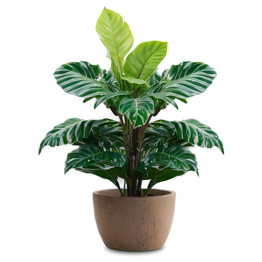 Small Plant In Corner Png Gyg25 PNG Image