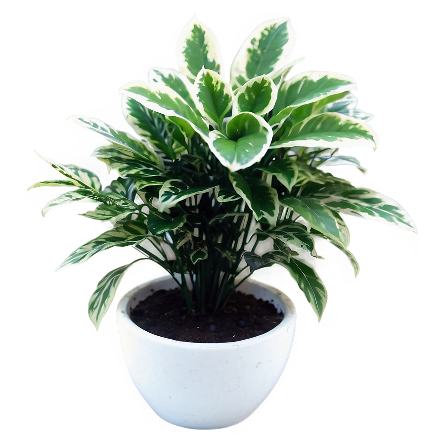 Small Plant In White Pot Png Udc PNG Image