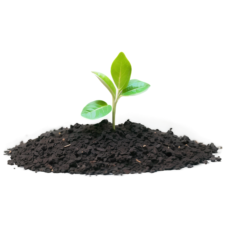 Small Plant With Soil Png Heb7 PNG Image