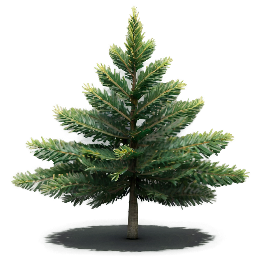 Small Tree Icon Png Eje PNG Image