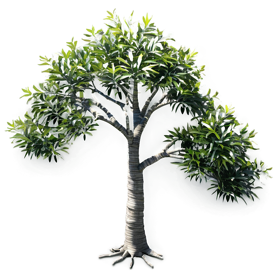 Small Tree Top View Png Jlg77 PNG Image