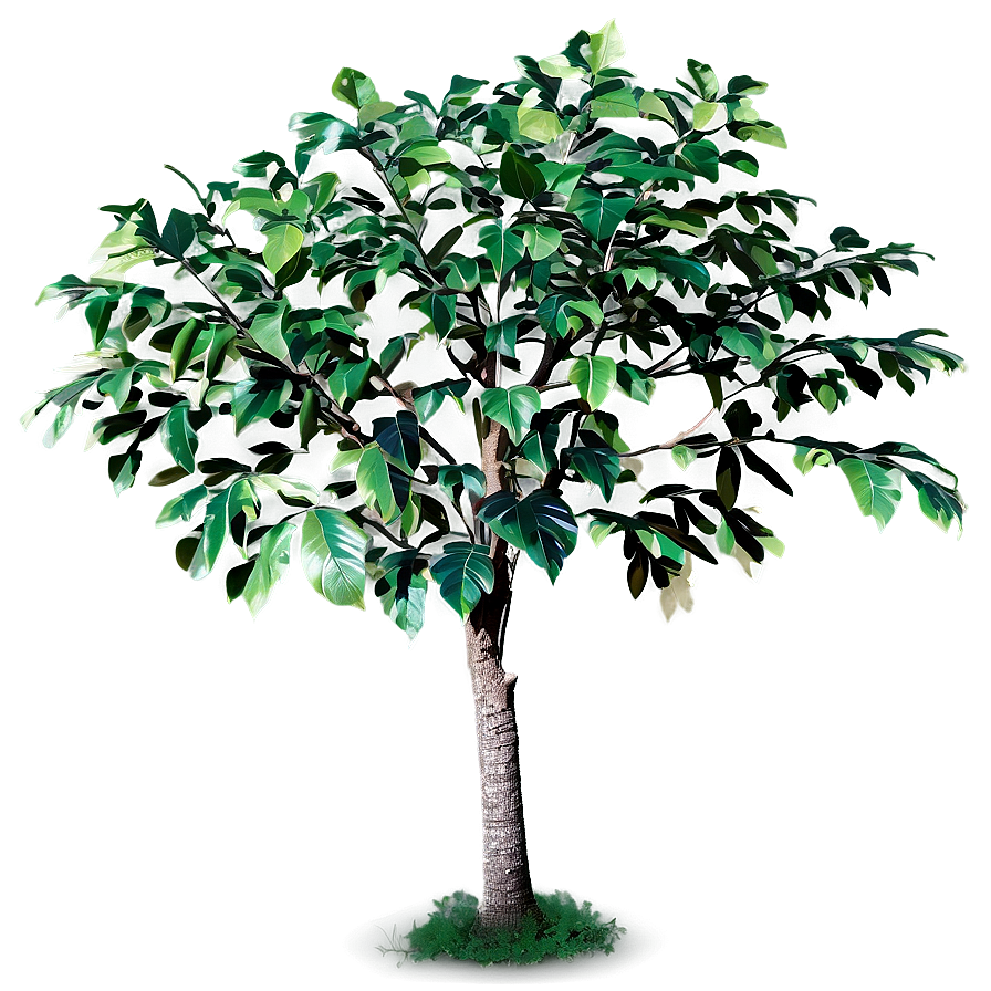 Small Tree With Leaves Png Chh PNG Image