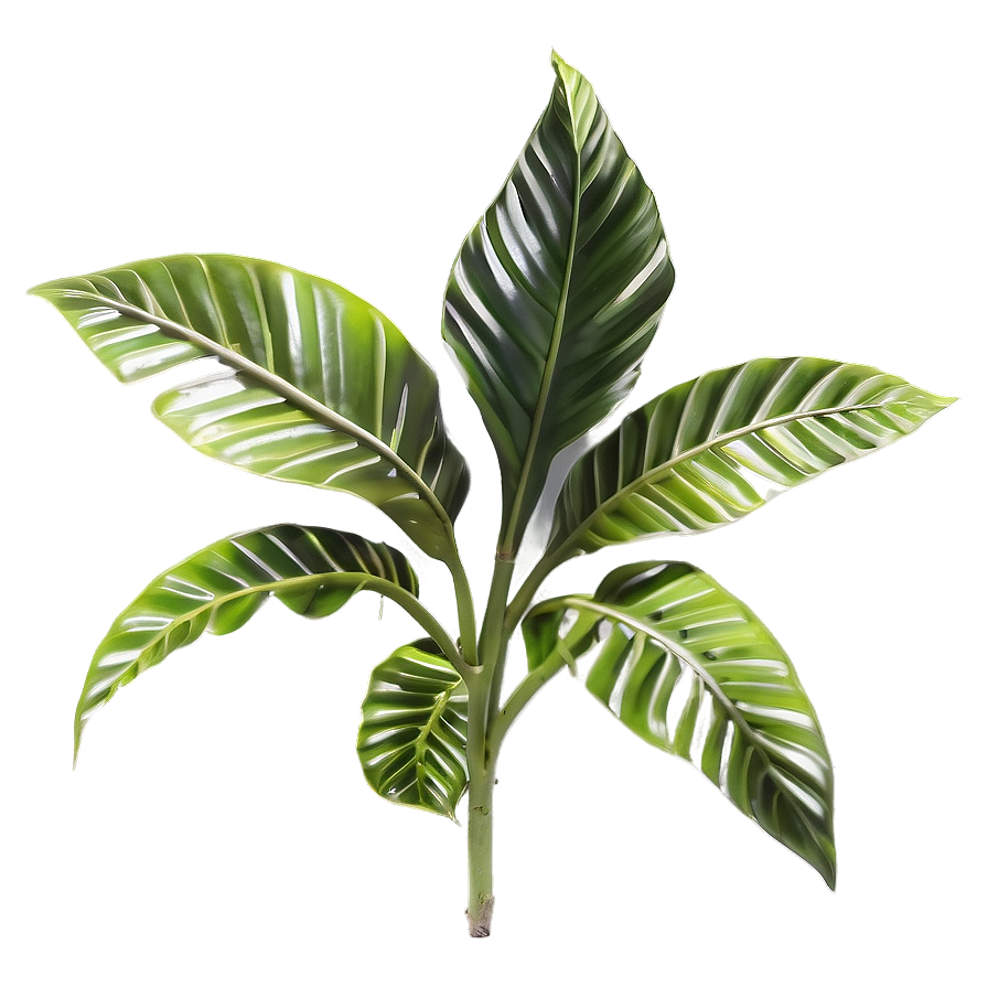 Small Tropical Plant Png 58 PNG Image