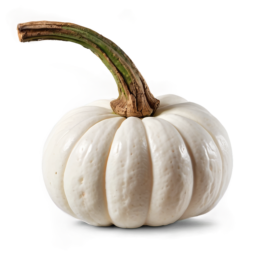 Small White Pumpkin Png 06212024 PNG Image