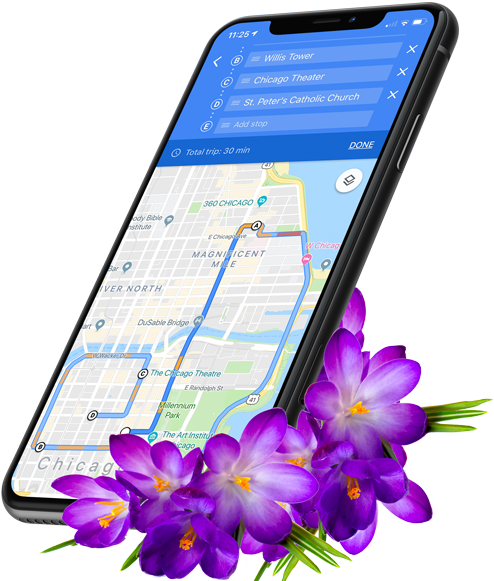 Smartphone Navigation Saffron Flowers PNG Image