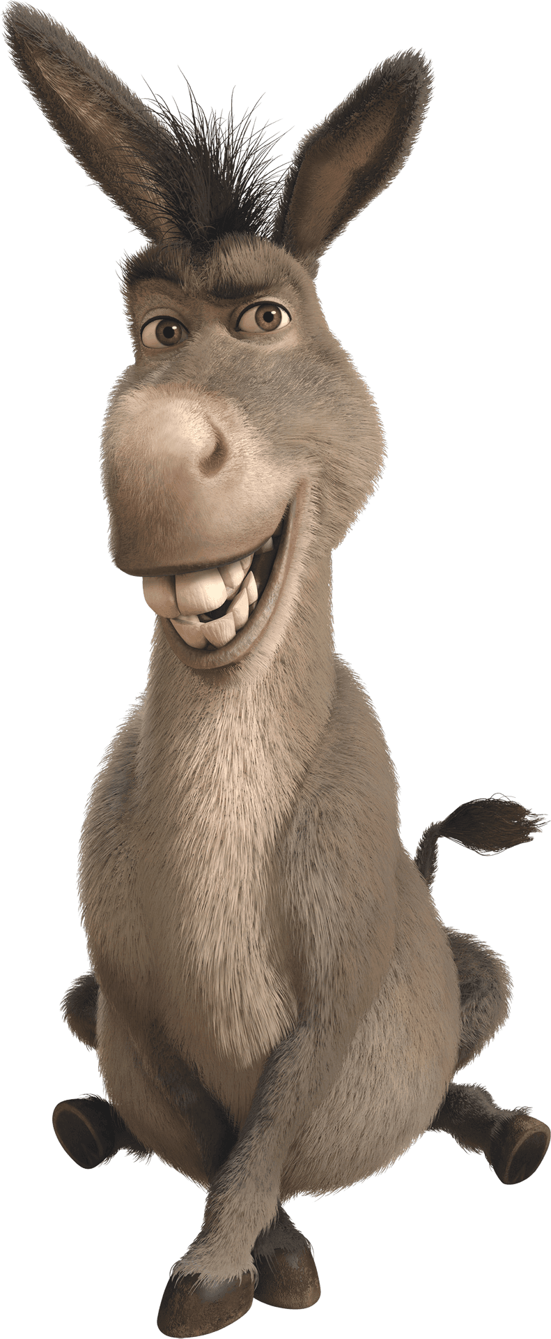 Smiling Animated Donkey Character PNG Image