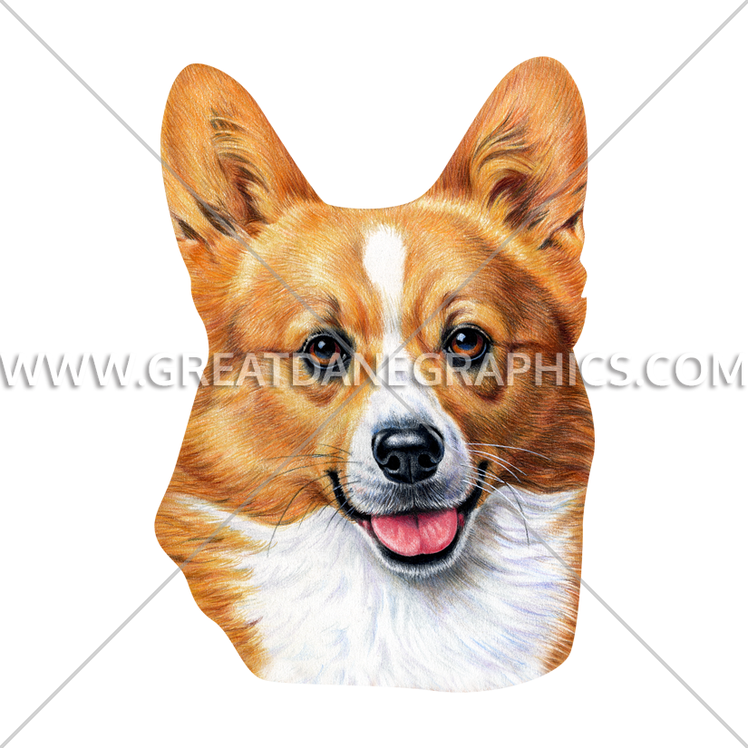 Smiling Corgi Portrait PNG Image