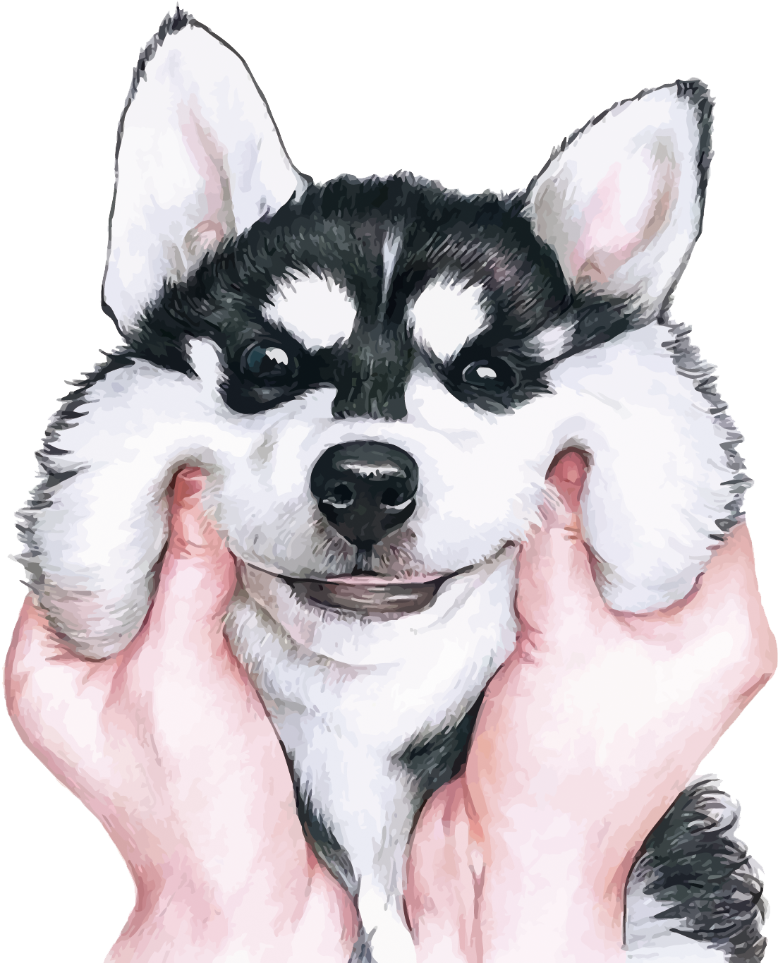 Smiling Husky Puppyin Hands PNG Image