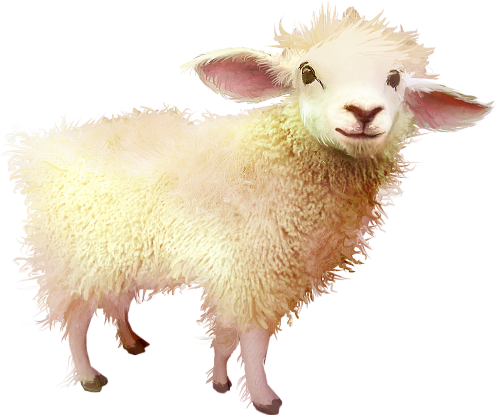 Smiling Sheep Illustration PNG Image