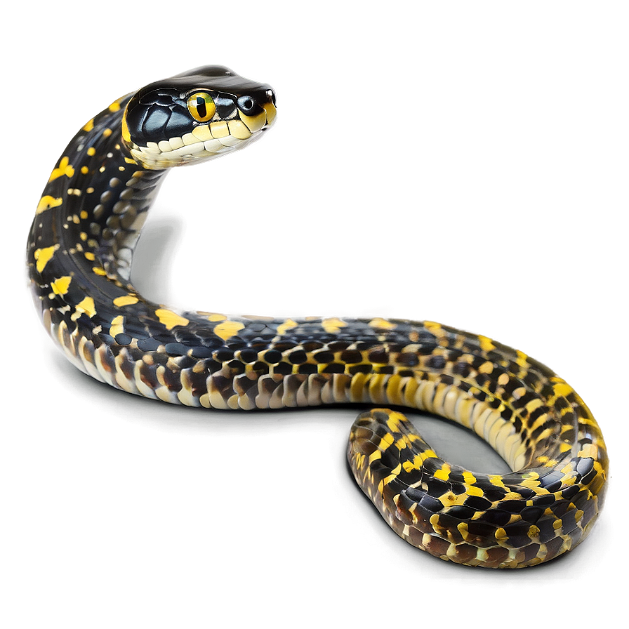 Snake In A Zoo Habitat Png 92 PNG Image