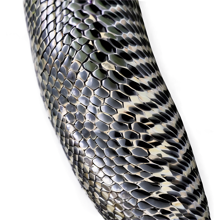 Snake Skin Surface Png Jvj2 PNG Image