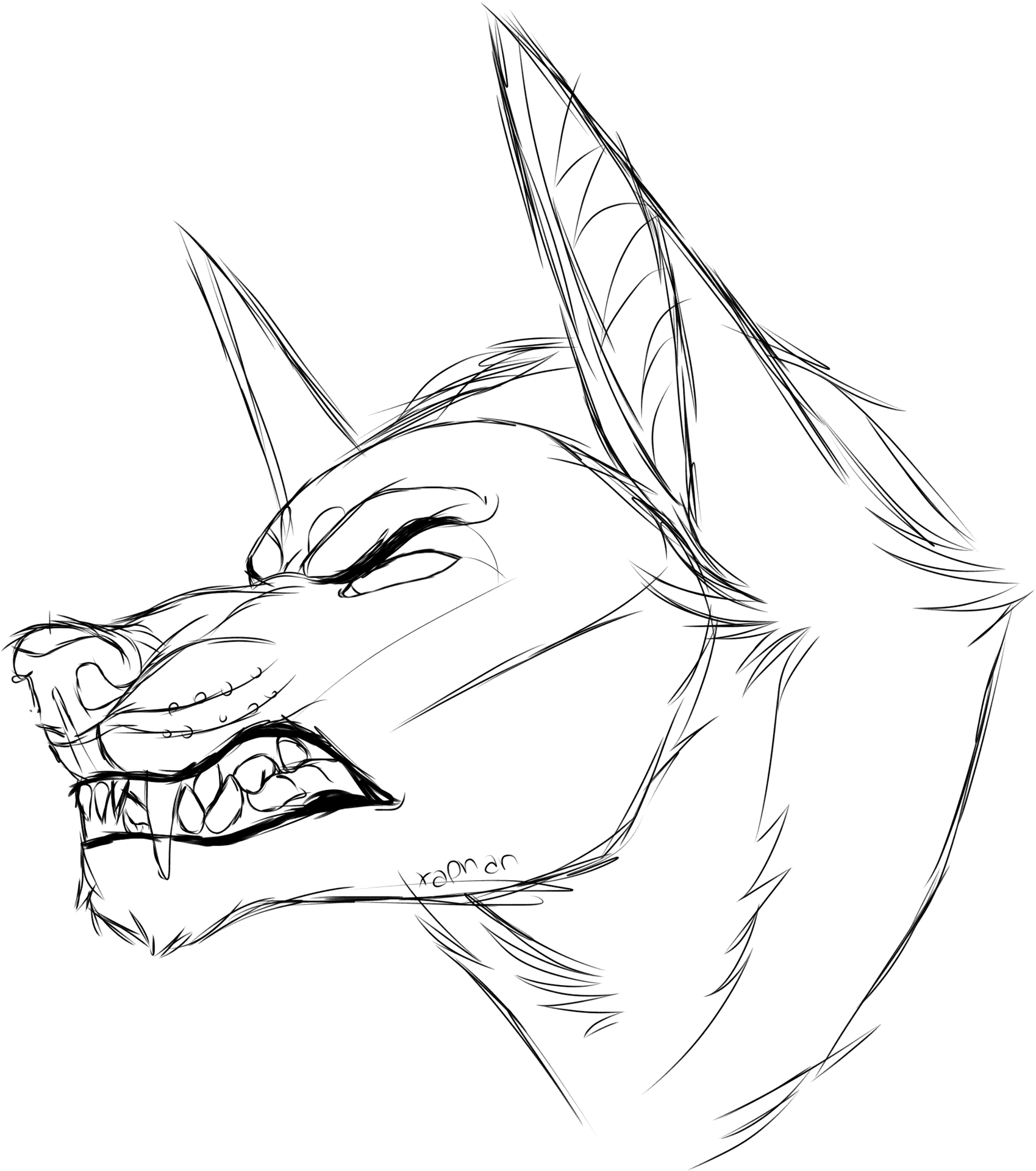 Snarling_ Wolf_ Lineart_ Sketch.png PNG Image