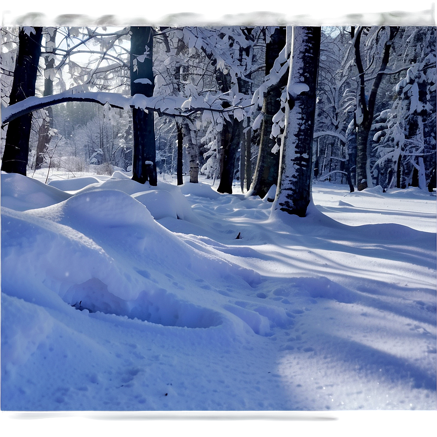 Snow Accumulation Png Krj34 PNG Image