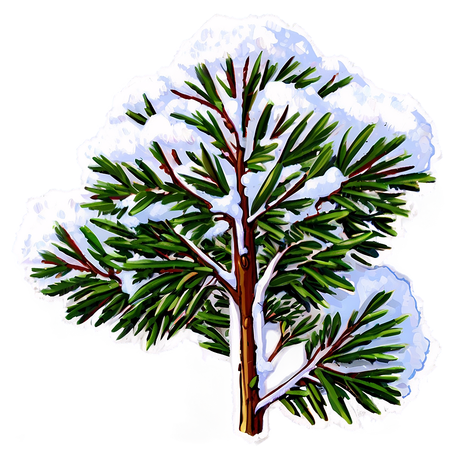 Snow-capped Bush Png 05252024 PNG Image