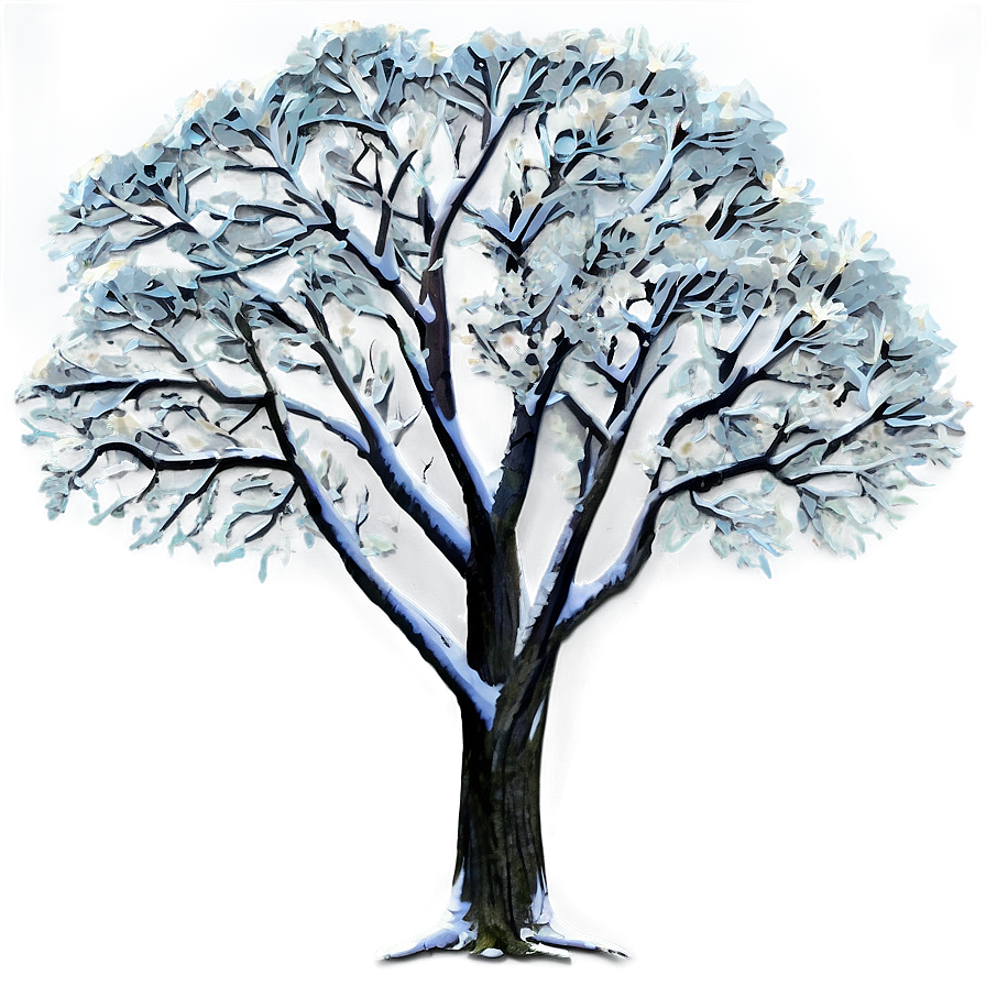 Snow Capped Tree Png Liu14 PNG Image