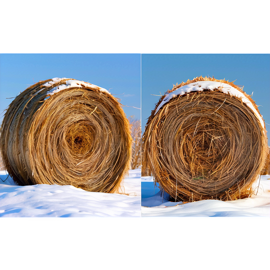 Snow-covered Hay Png Eng PNG Image