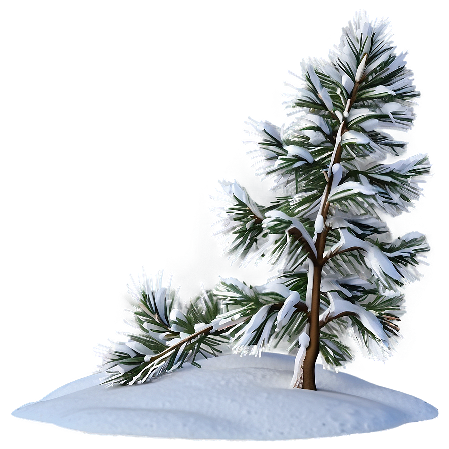 Snow Covered Pine Tree Png Sly PNG Image