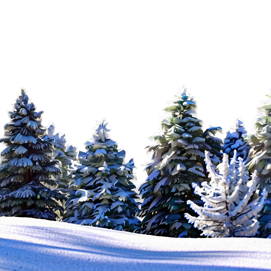 Snow-covered Trees Png Lnk PNG Image