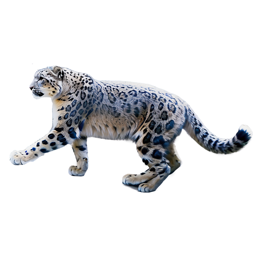 Snow Leopard In A Snowstorm Png Uuw PNG Image