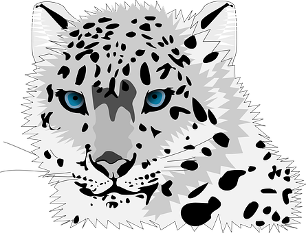 Snow Leopard Portrait Vector PNG Image