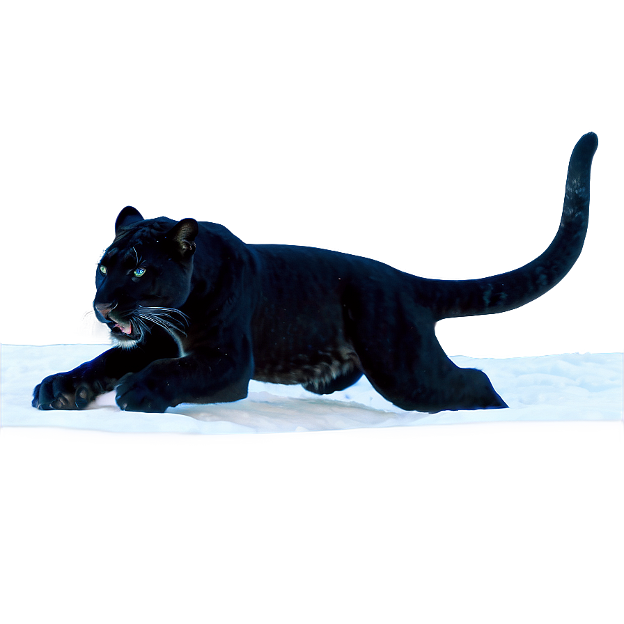 Snow Panthers In Winter Png 06202024 PNG Image