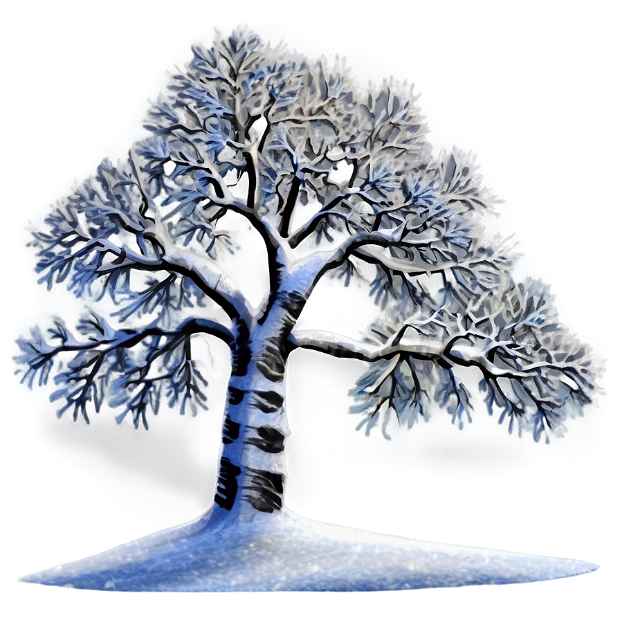 Snow Trees A PNG Image