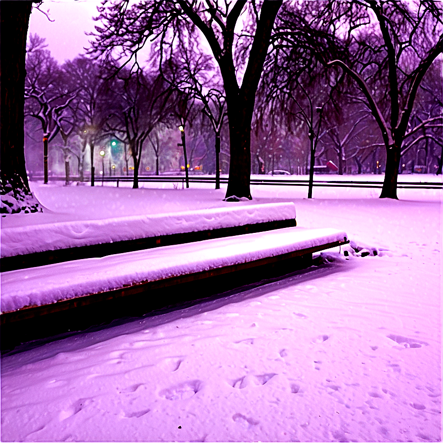 Snowfall In City Park Png Rro35 PNG Image