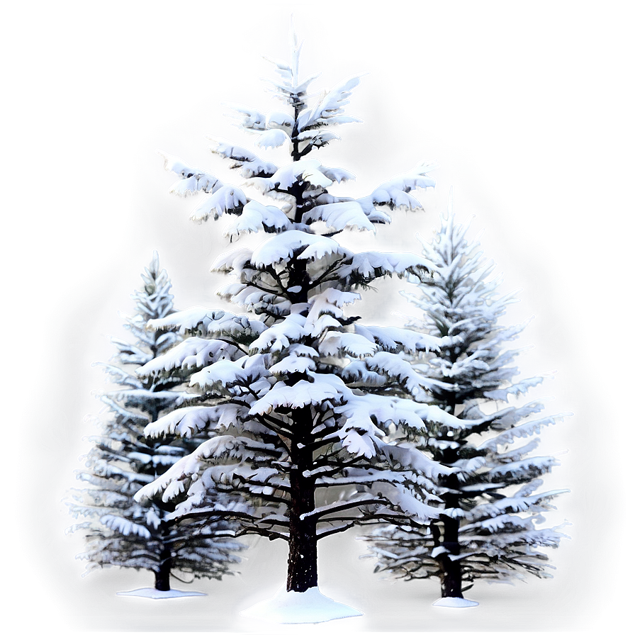 Snowy Forest Tree Png Jyu PNG Image