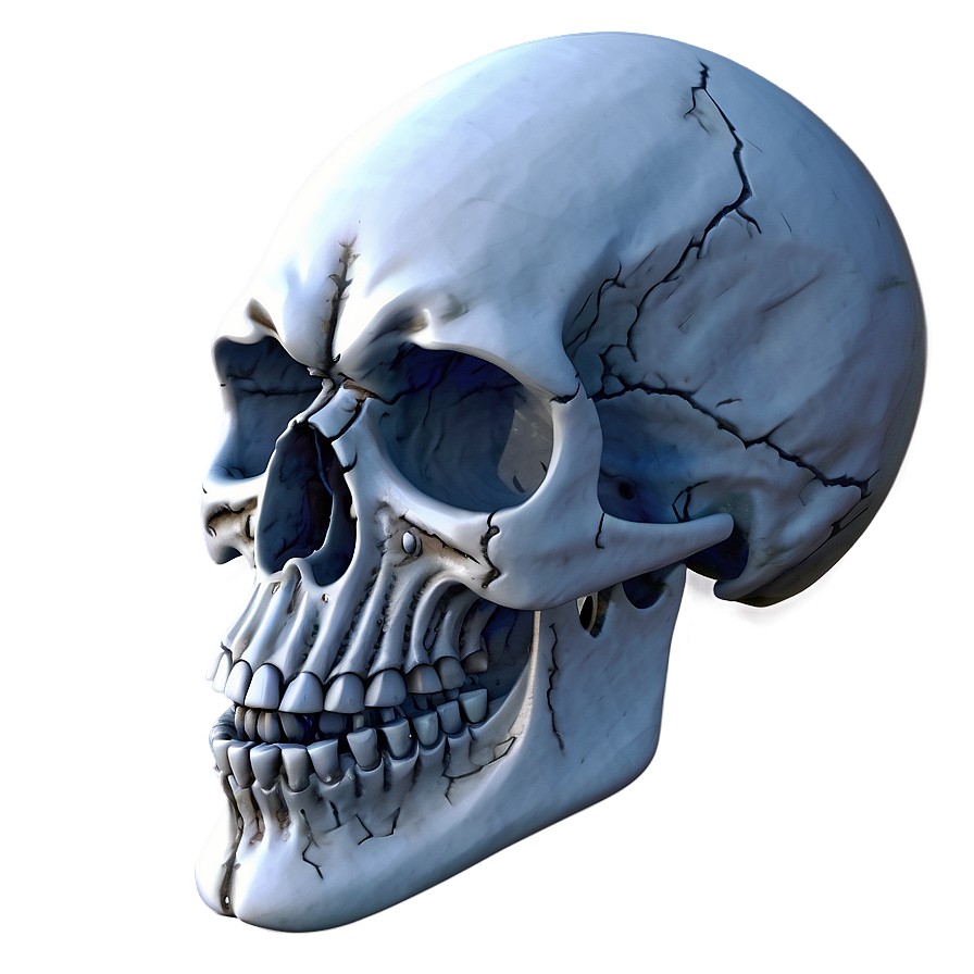 Snowy Skull Decoration Png D PNG Image