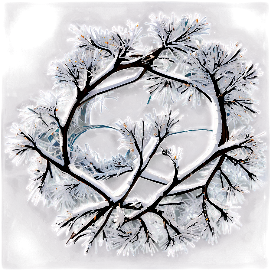 Snowy Tree Branches Png 96 PNG Image