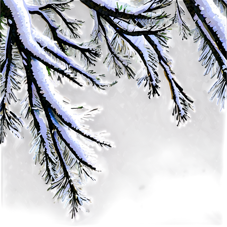 Snowy Tree Branches Png Ymq59 PNG Image