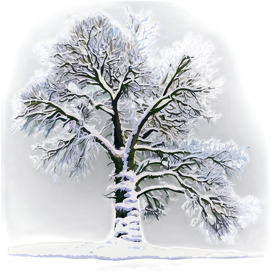 Snowy Tree In Field Png Cko36 PNG Image