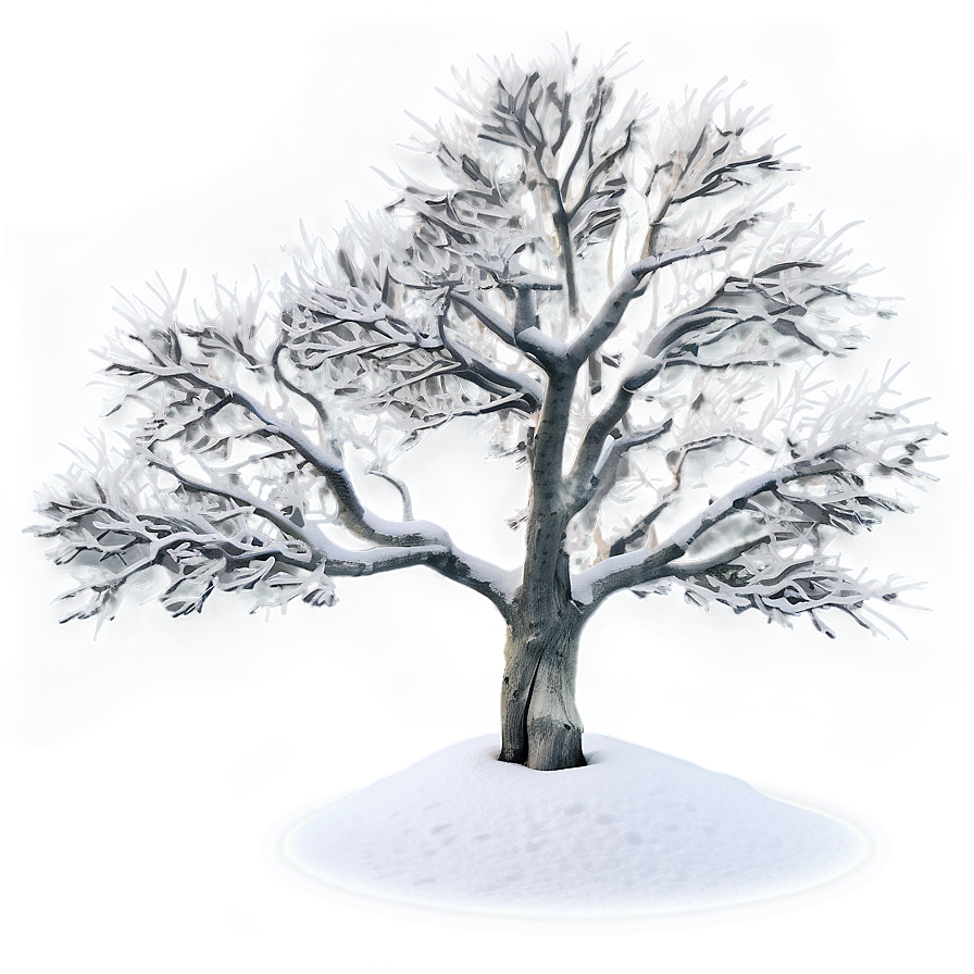 Snowy Tree In Mist Png 06272024 PNG Image