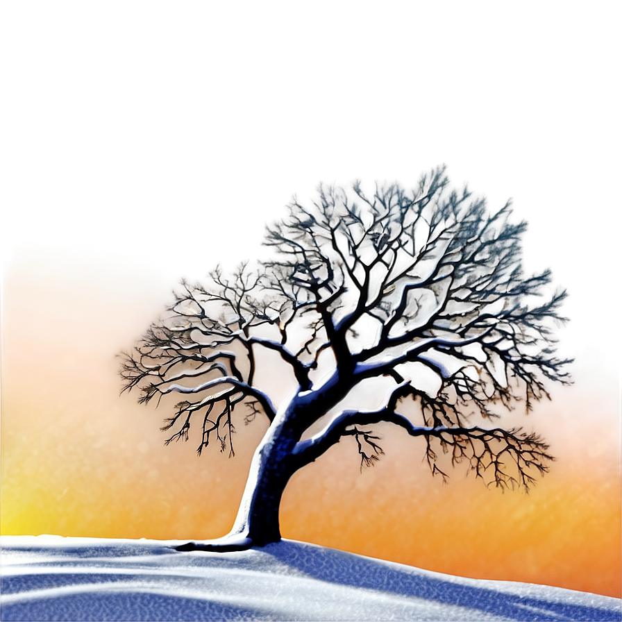 Snowy Tree Sunrise Png 06272024 PNG Image