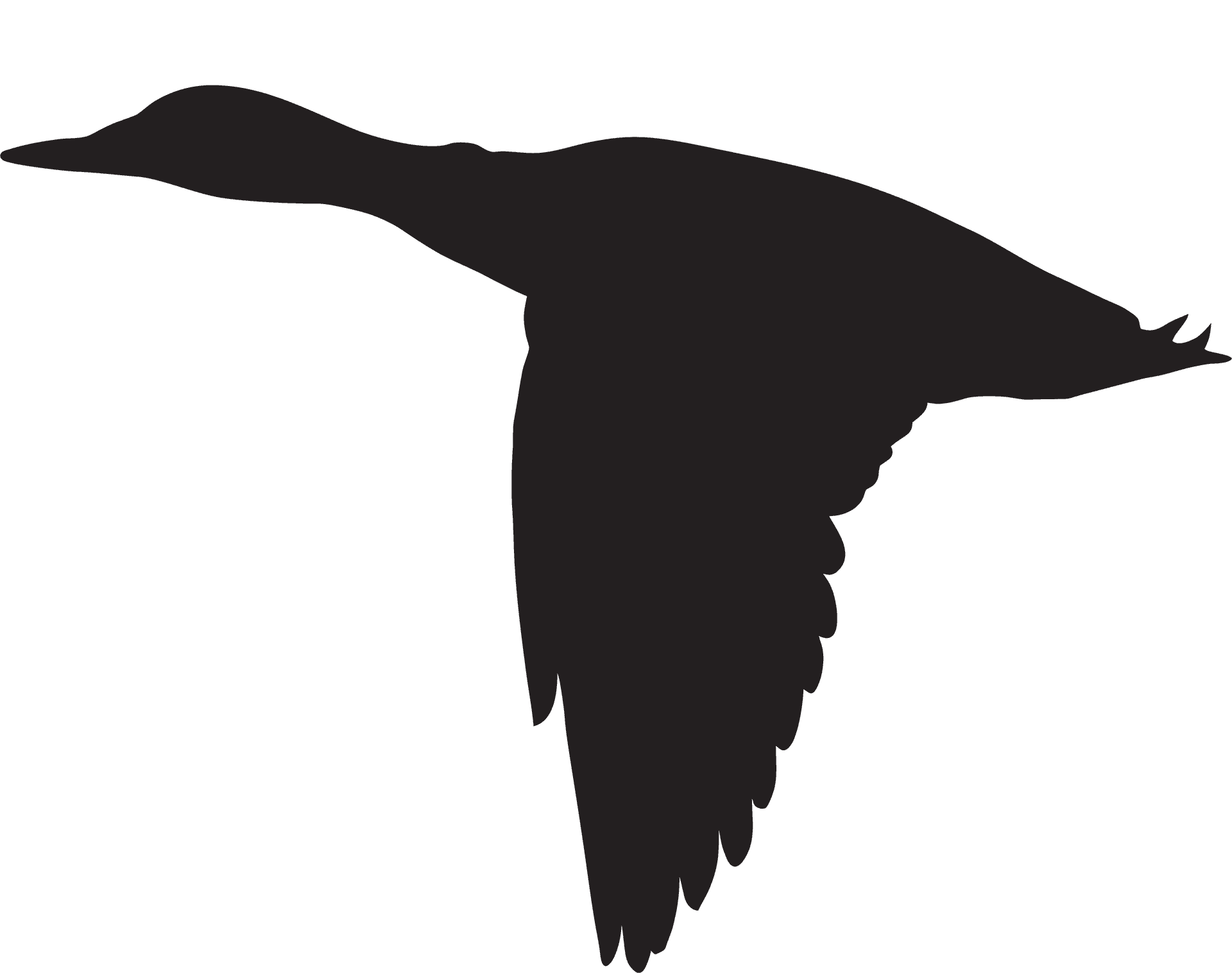 Soaring Bird Silhouette PNG Image