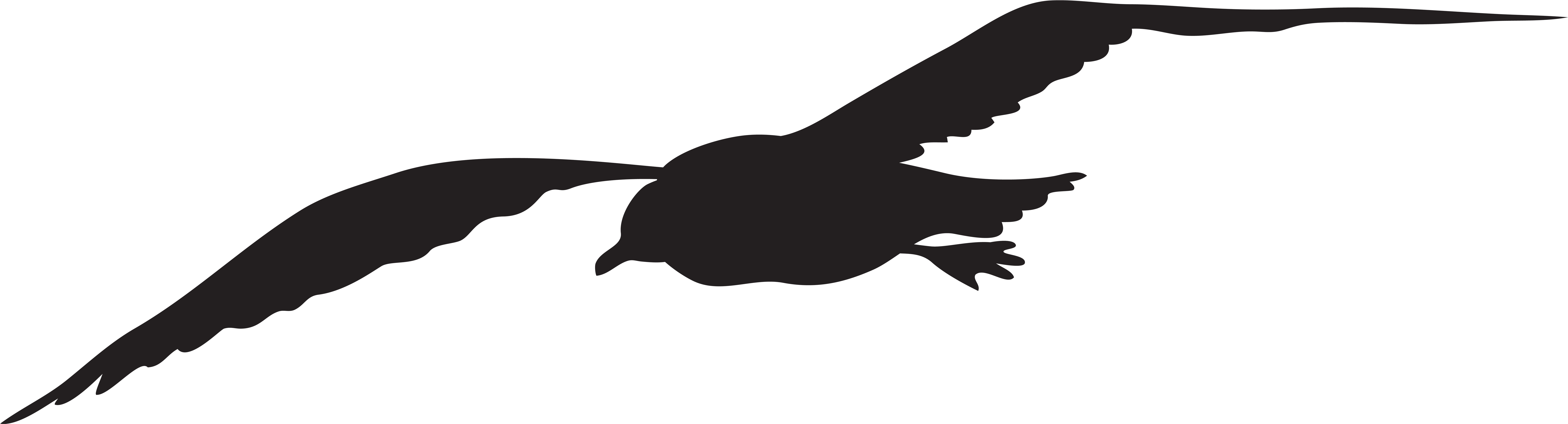 Soaring Bird Silhouette PNG Image