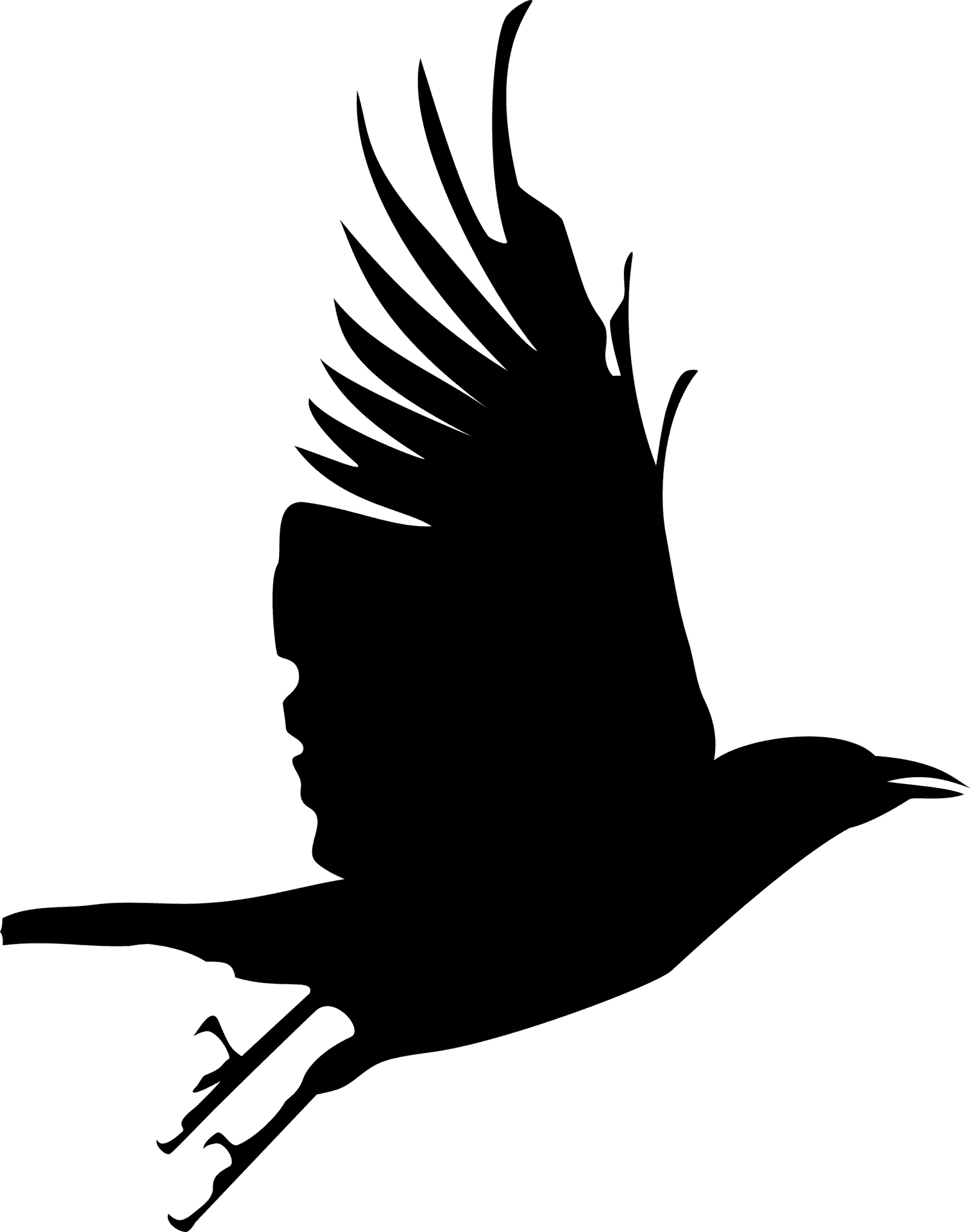 Soaring Bird Silhouette PNG Image