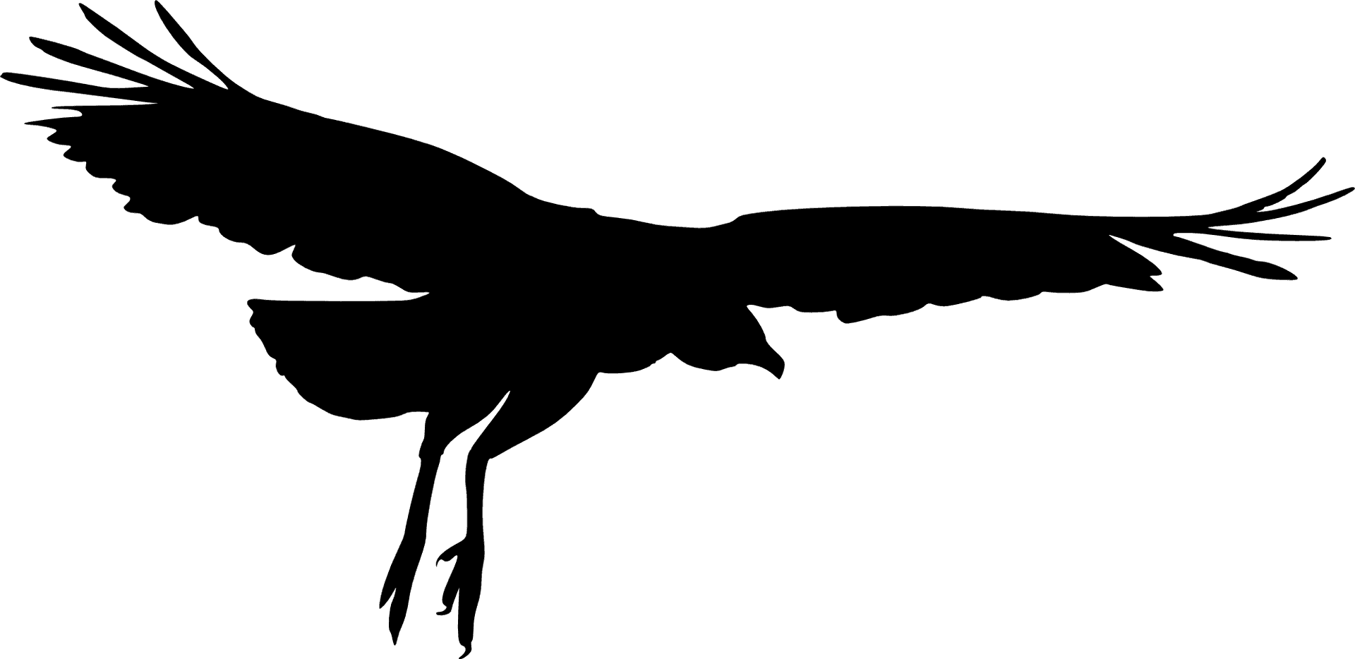 Soaring_ Bird_ Silhouette.png PNG Image