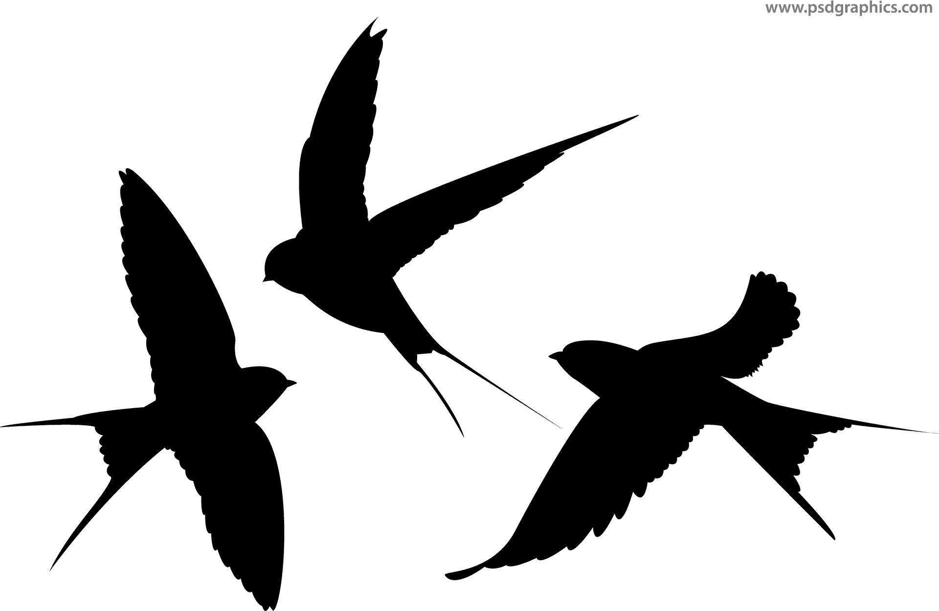 Soaring Birds Silhouette PNG Image