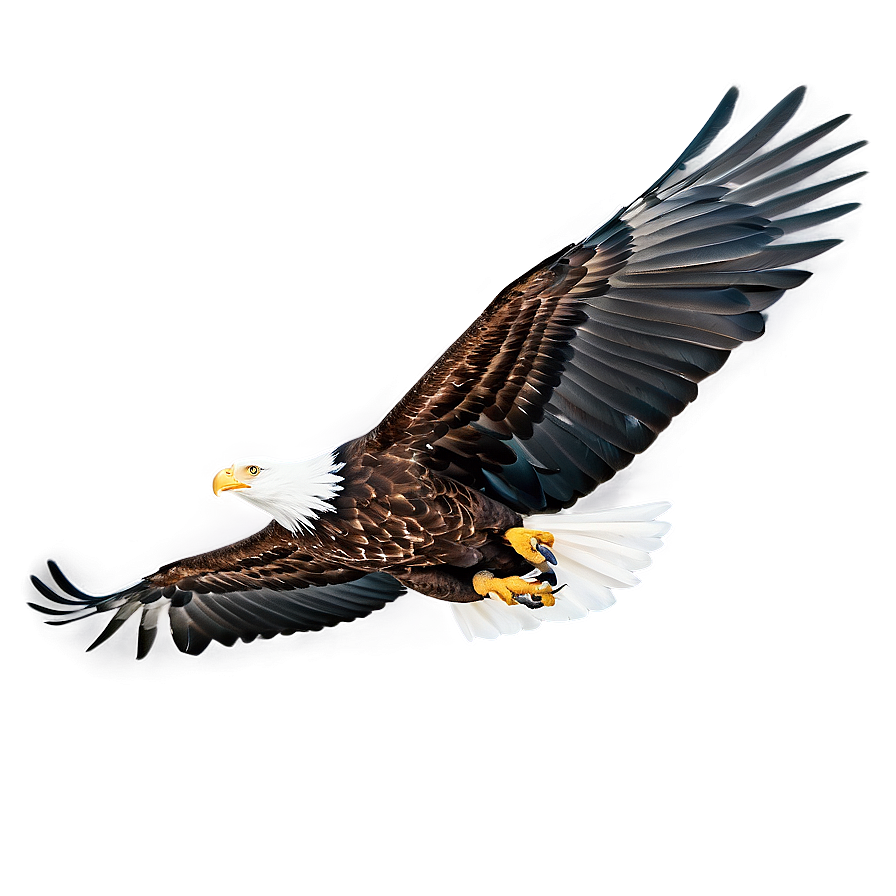 Soaring Eagle Flying Png Frc81 PNG Image