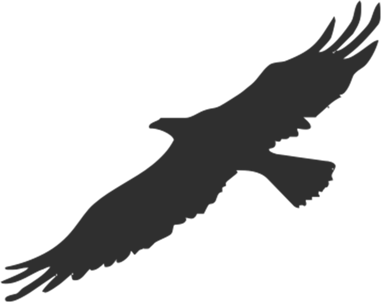 Soaring Eagle Silhouette PNG Image