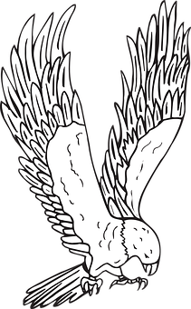 Soaring_ Eagle_ Silhouette_ Vector PNG Image