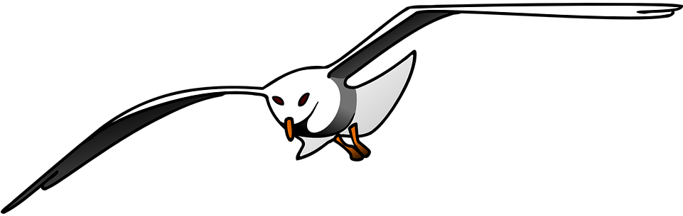 Soaring Seagull Vector Illustration PNG Image