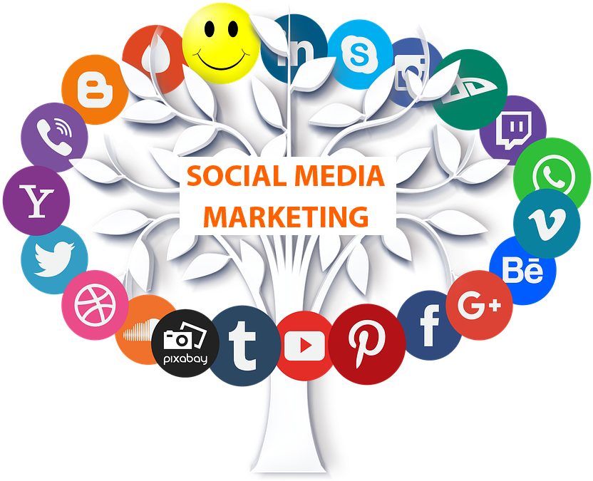 Social Media Marketing Tree PNG Image