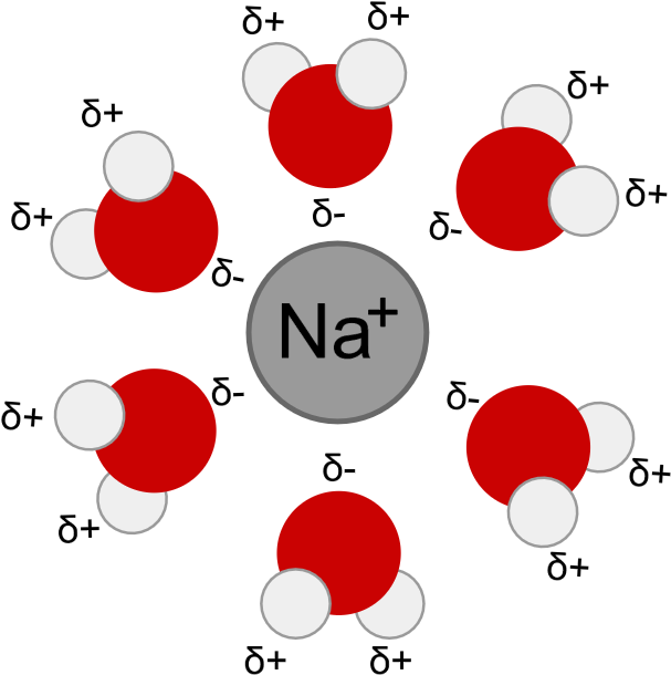 Sodium Ionand Water Molecules PNG Image