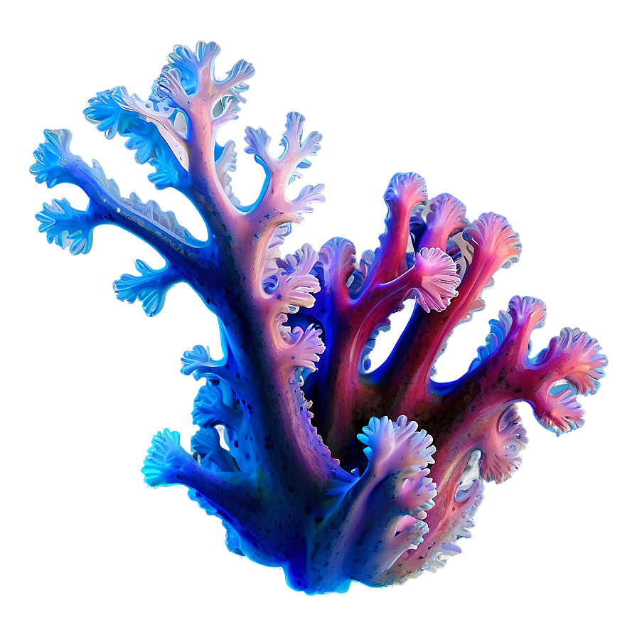 Soft Coral Texture Png Fcs54 PNG Image